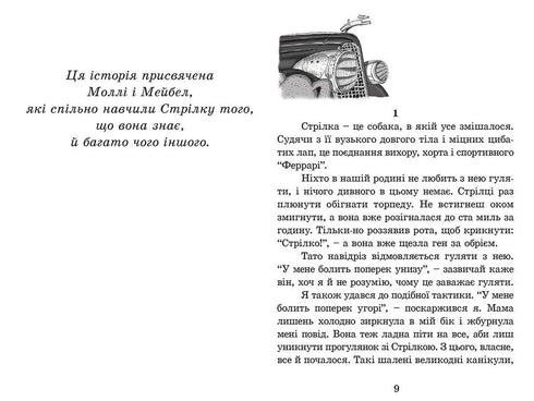 Razzo su quattro zampe